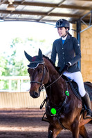 SRSJ Young Horse-7984