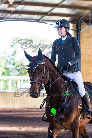 SRSJ Young Horse-7984
