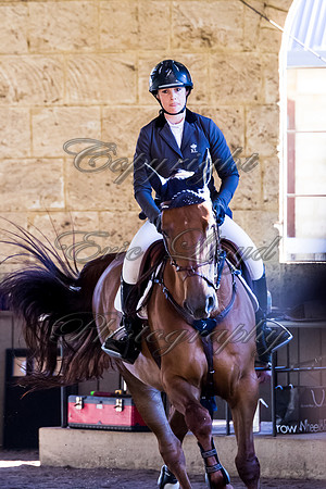 SRSJ Young Horse-8056