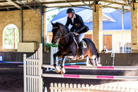 SRSJ Young Horse-7976