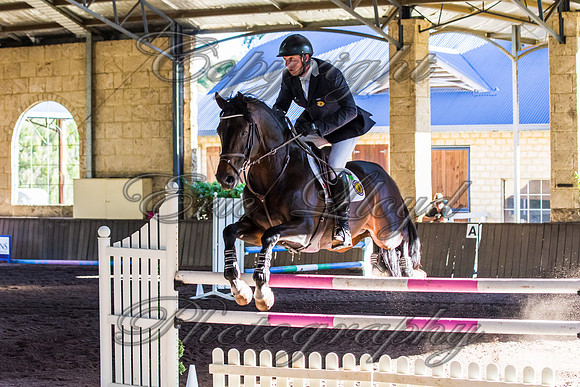 SRSJ Young Horse-7976