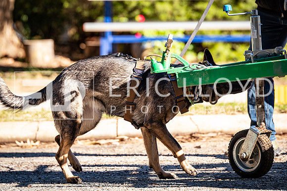 ELP_8056