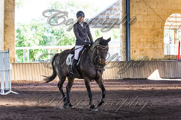 SRSJ Young Horse-8078