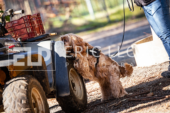ELP_0102