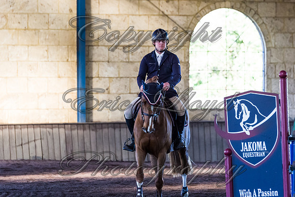 SRSJ Young Horse-8100