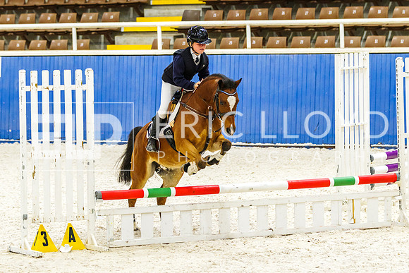 IMGP1377
