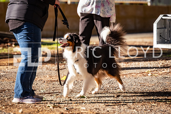 ELP_0662