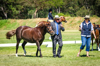 IMGP8266