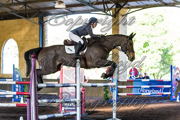 SRSJ Young Horse-8098
