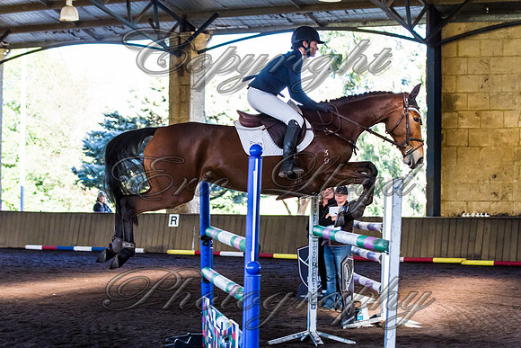 SRSJ Young Horse-8048