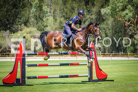 IMGP3123