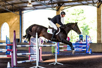 SRSJ Young Horse-7980