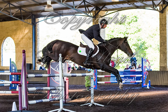 SRSJ Young Horse-7980