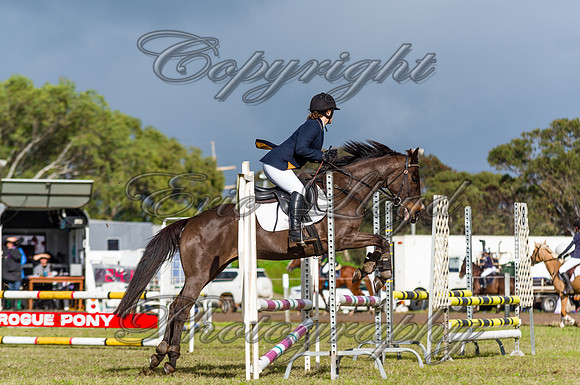 ERIC9263