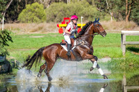 CIC 1*