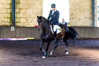 SRSJ Young Horse-7968