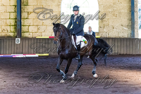 SRSJ Young Horse-7968