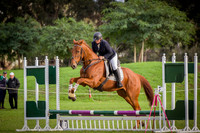 45cm Optimum Time