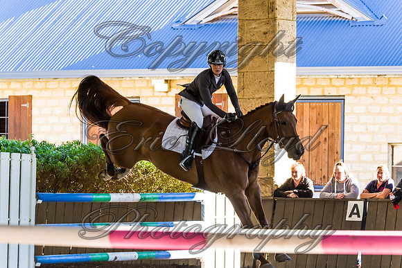 SRSJ Young Horse-8069
