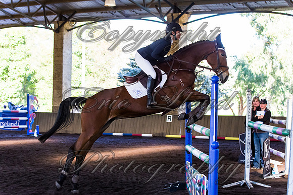SRSJ Young Horse-8047