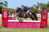 Class 32.1 & 32.2 C&J Horse Breaking 7 Pre Training and Off The Track WA 80cm AM7