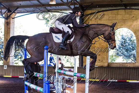 SRSJ Young Horse-8094