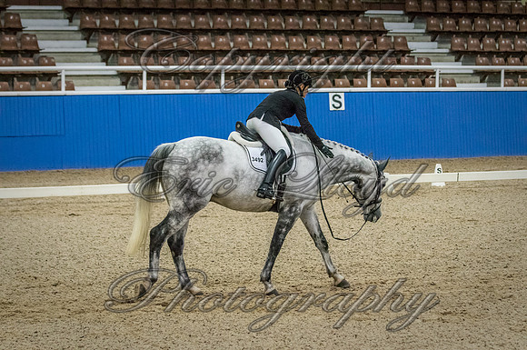 IMGP7116