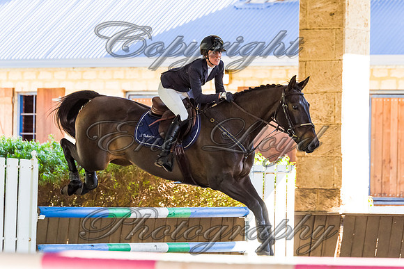 SRSJ Young Horse-8033
