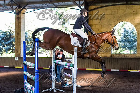 SRSJ Young Horse-8049
