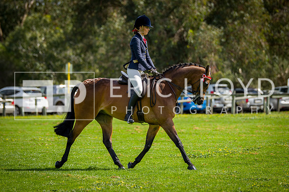 untitled-5107