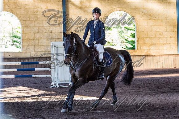 SRSJ Young Horse-8014