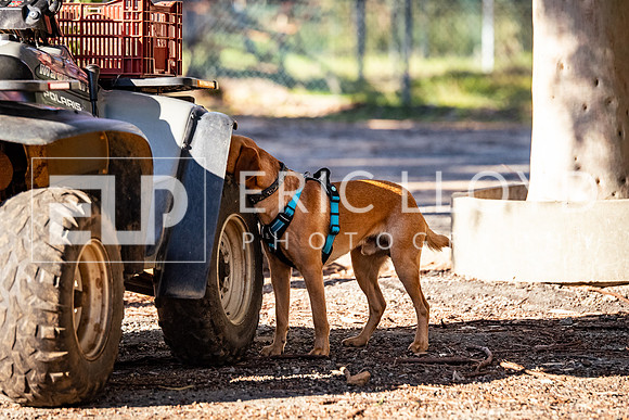 ELP_0695