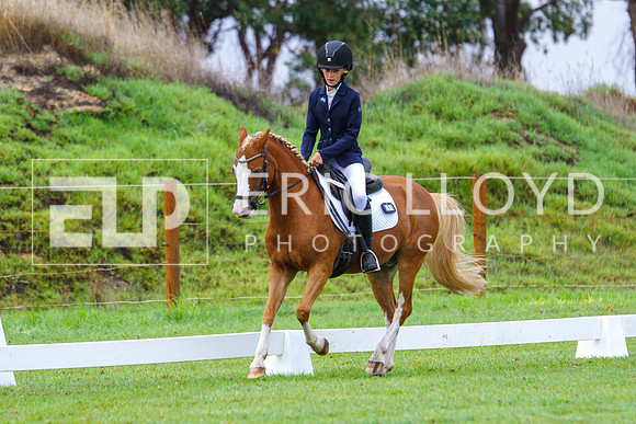 IMGP0833
