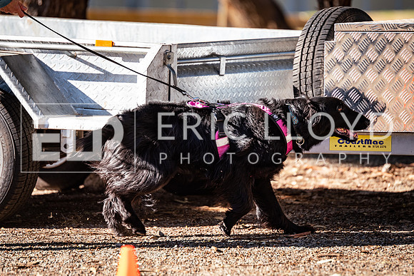 ELP_0005