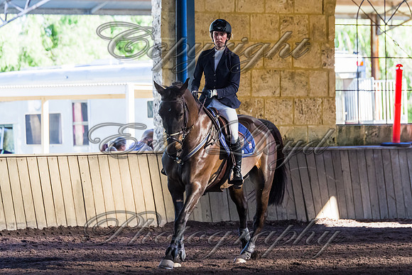 SRSJ Young Horse-8016