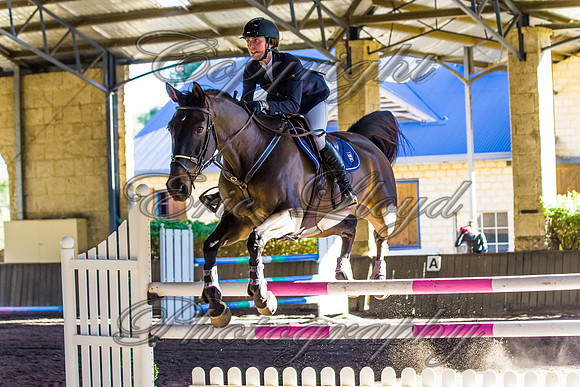 SRSJ Young Horse-8029