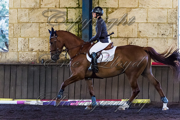 SRSJ Young Horse-8052
