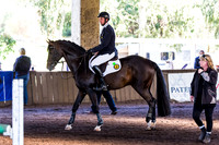 SRSJ Young Horse-7960