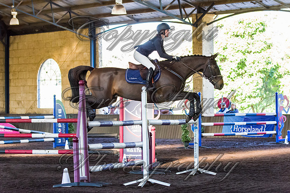 SRSJ Young Horse-8031