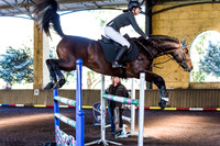 SRSJ Young Horse-7997
