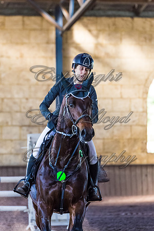 SRSJ Young Horse-7992