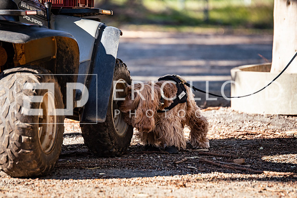 ELP_0094