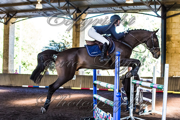SRSJ Young Horse-8024