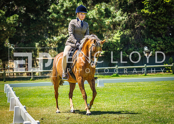 IMGP8638