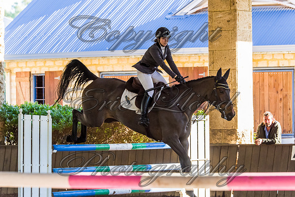 SRSJ Young Horse-8099