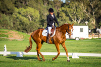 Dressage