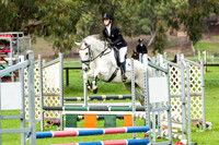 Showjumping