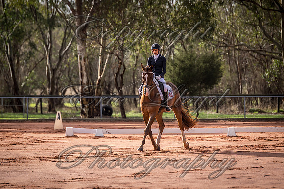 IMGP9973