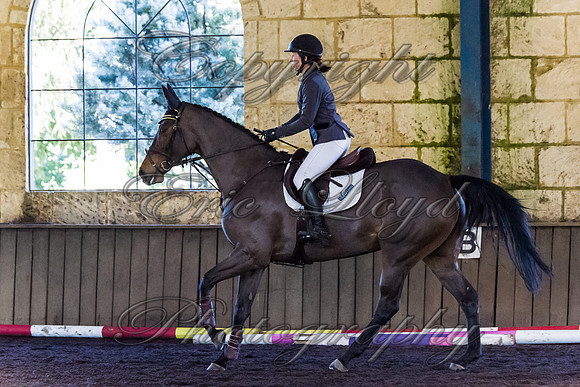 SRSJ Young Horse-8091