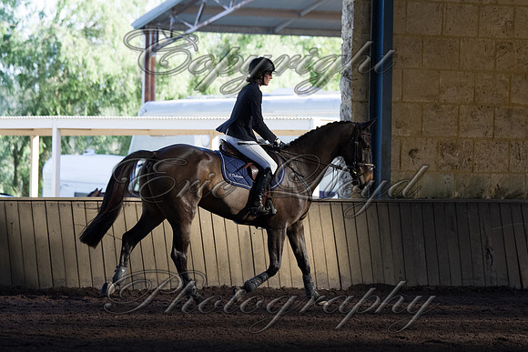 SRSJ Young Horse-8006